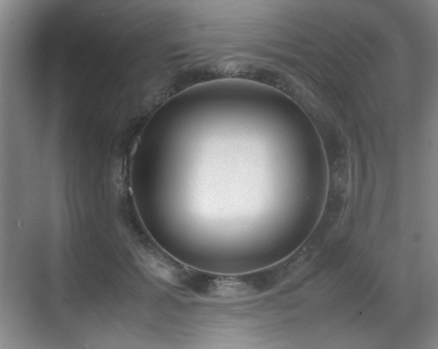 X0000070380605200606091127