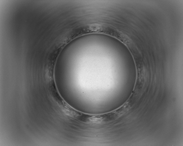 X0000070380606200606091127