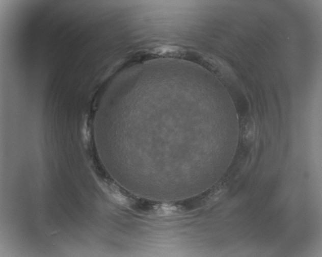 X0000070380607200606091127