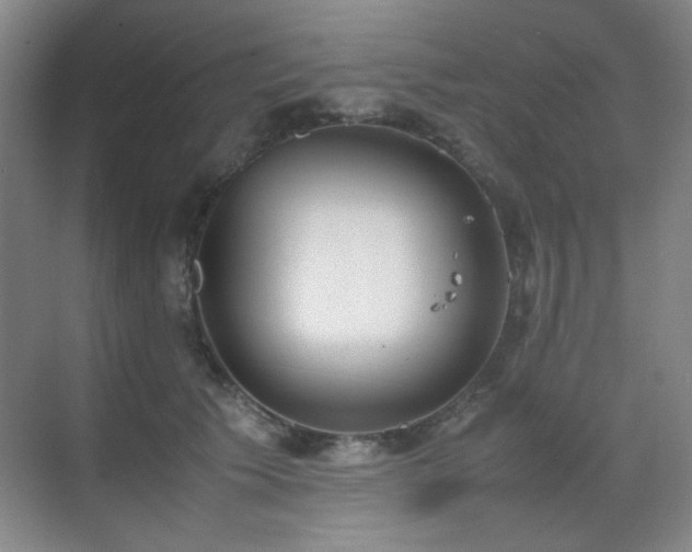 X0000070380609200606091127