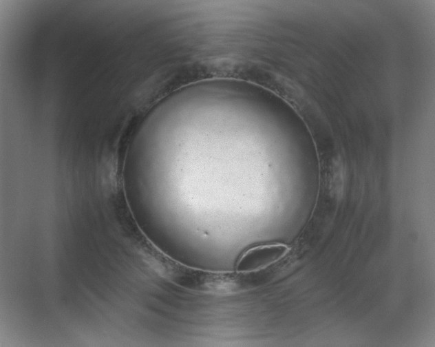 X0000070380610200606091127