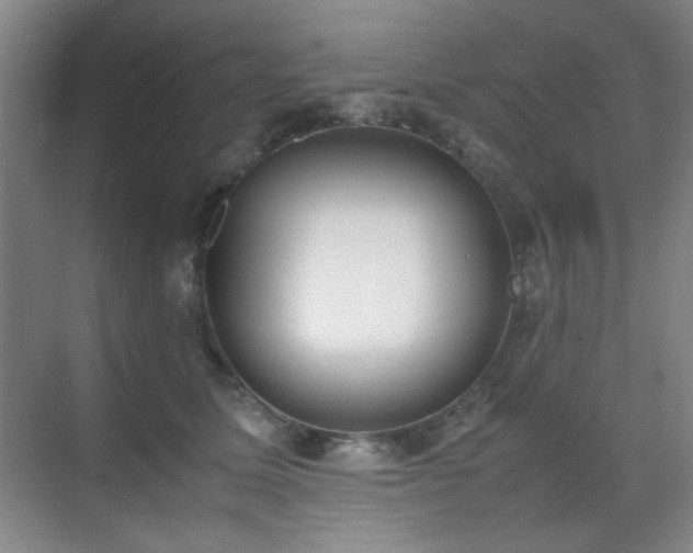 X0000070380611200606091127