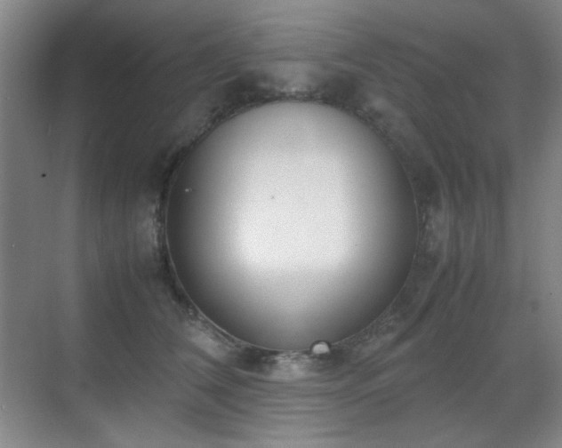 X0000070380612200606091127