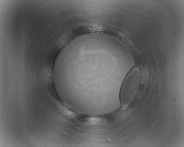 X0000070380614200606091127