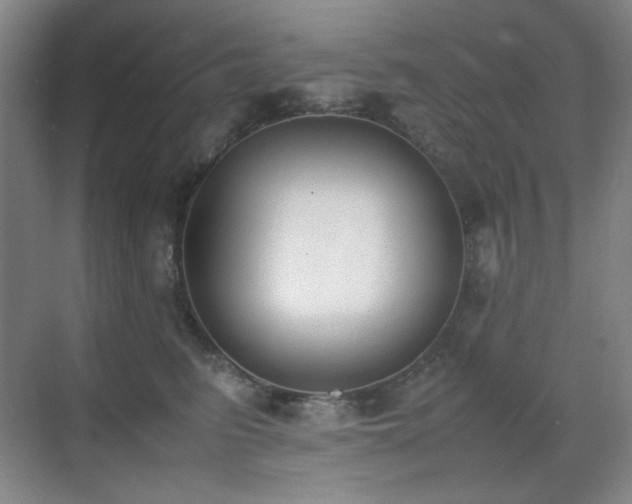 X0000070380615200606091127