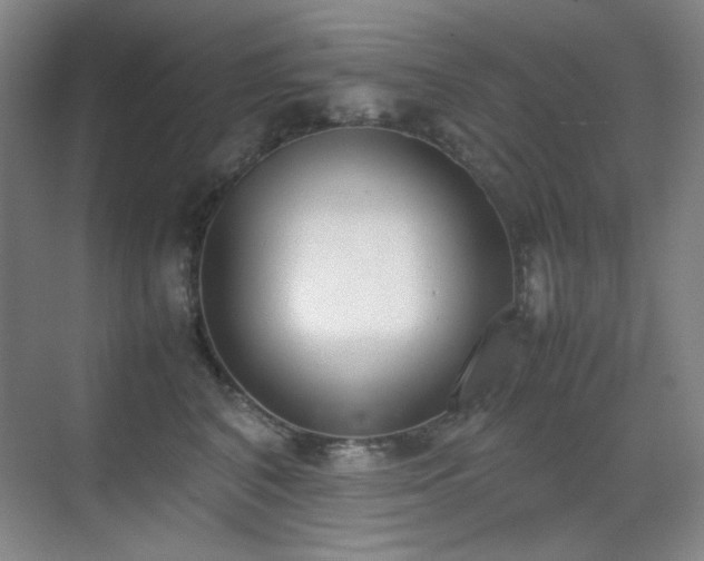 X0000070380616200606091127