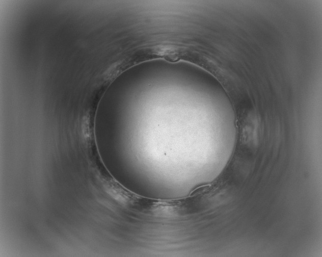 X0000070380620200606091127