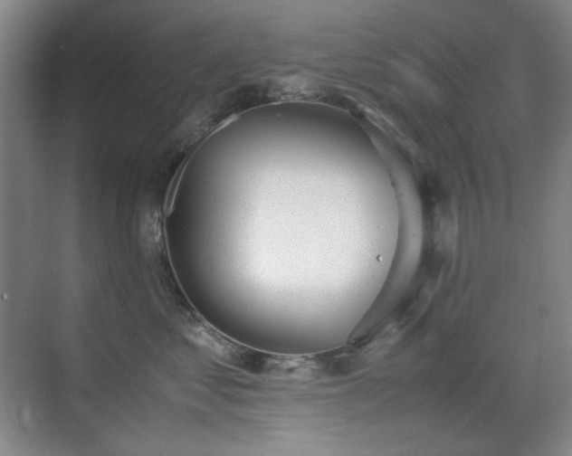 X0000070380621200606091127