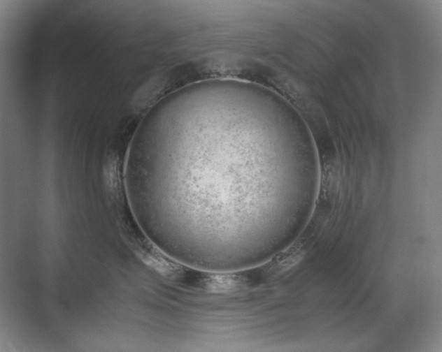 X0000070380623200606091127