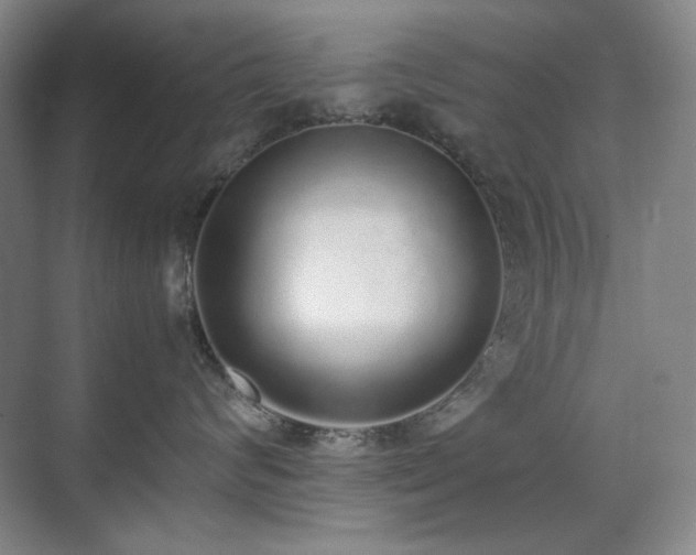 X0000070380624200606091127