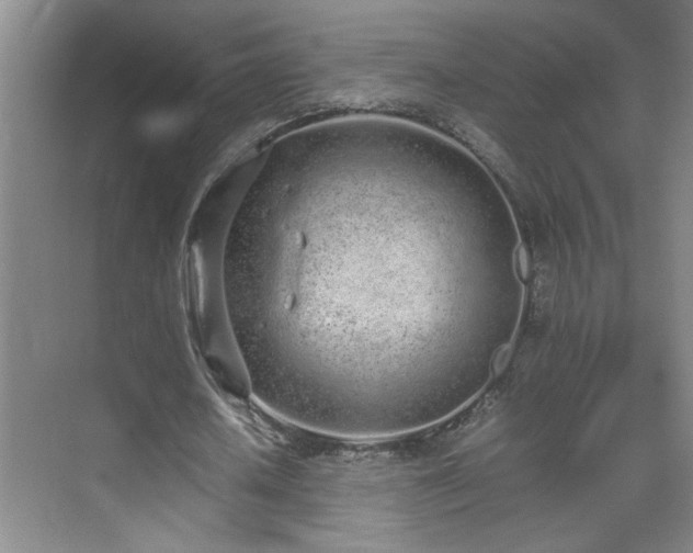 X0000070380626200606091126