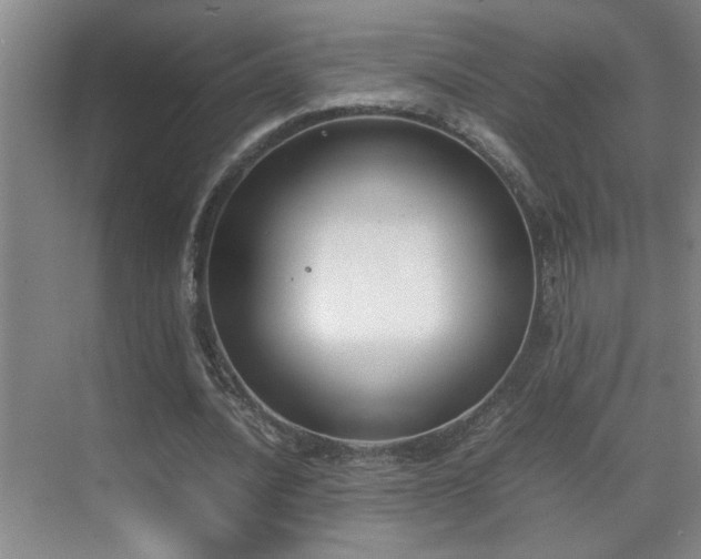 X0000070380628200606091126