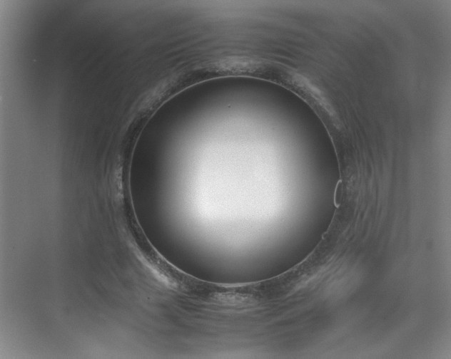 X0000070380633200606091126