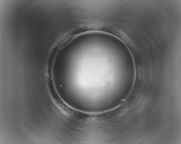 X0000070380634200606091126