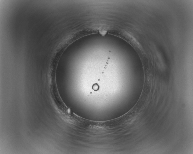 X0000070380635200606091126