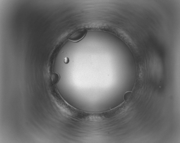 X0000070380636200606091126