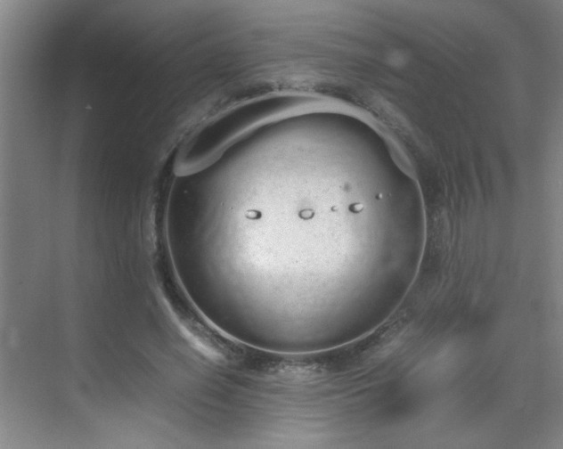 X0000070380638200606091126