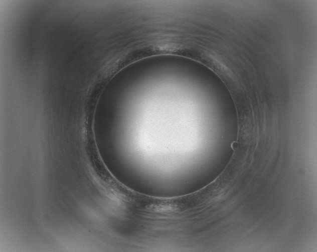 X0000070380639200606091126