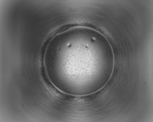 X0000070380640200606091126