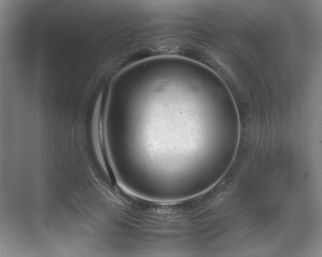 X0000070380641200606091126