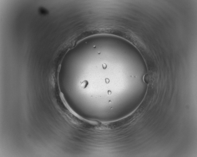 X0000070380644200606091126