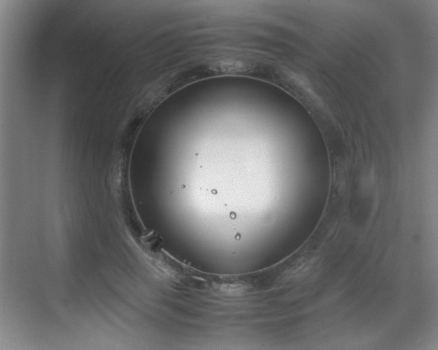 X0000070380645200606091126