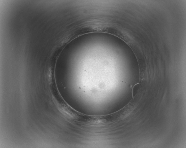 X0000070380646200606091126