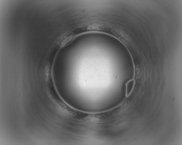 X0000070380648200606091126