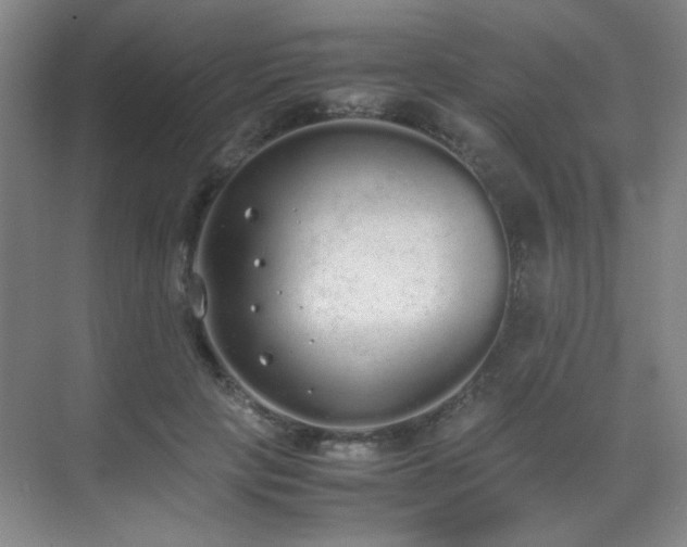 X0000070380649200606091126