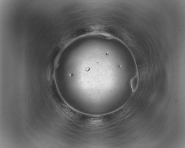 X0000070380651200606091126