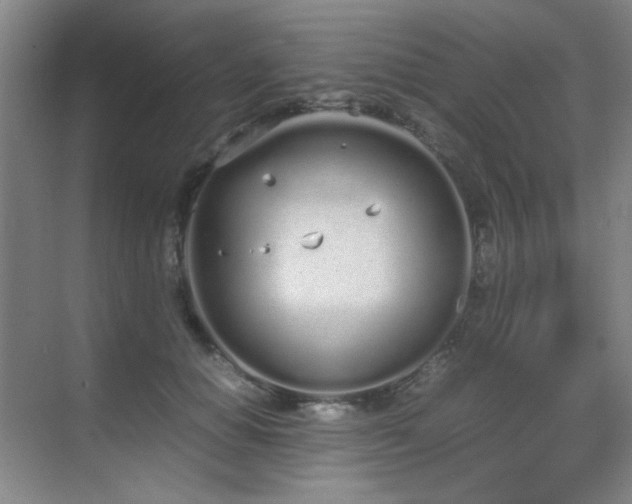 X0000070380654200606091126