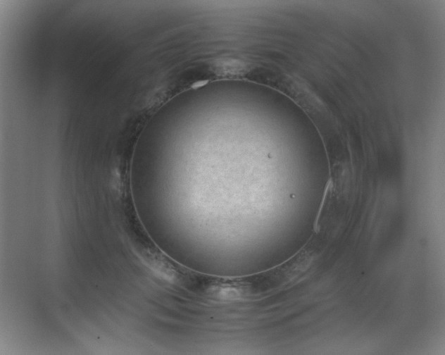 X0000070380655200606091126