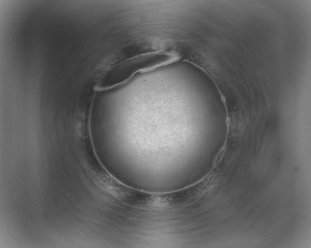 X0000070380656200606091126