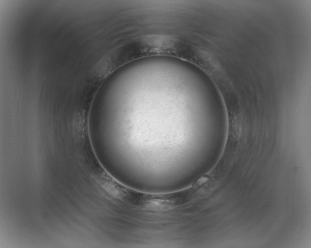 X0000070380657200606091126