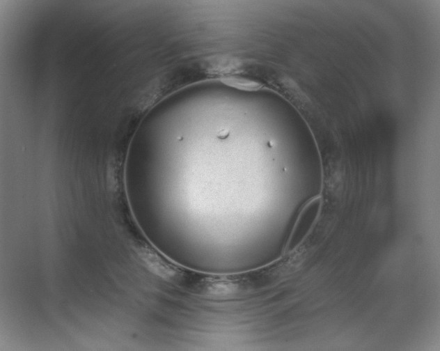 X0000070380658200606091126