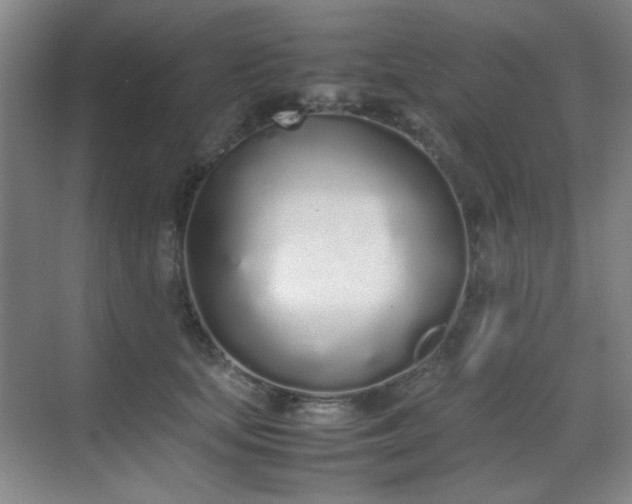 X0000070380659200606091126