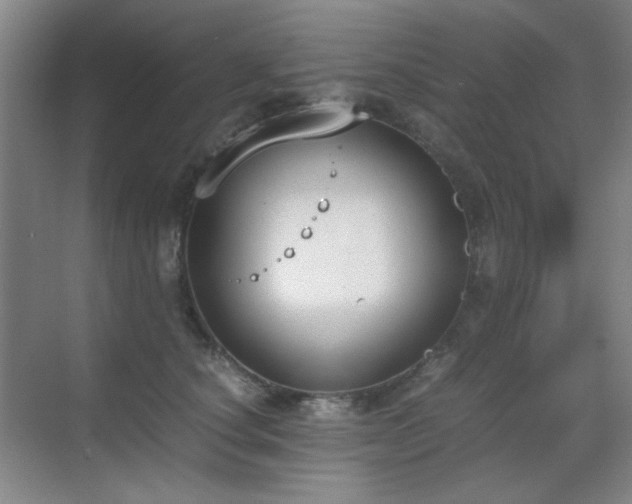 X0000070380660200606091127