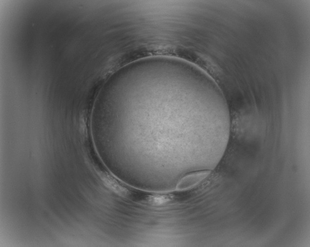 X0000070380662200606091127