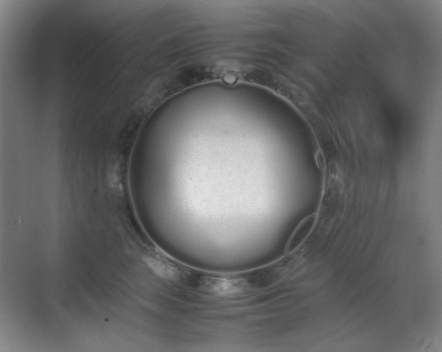 X0000070380663200606091127