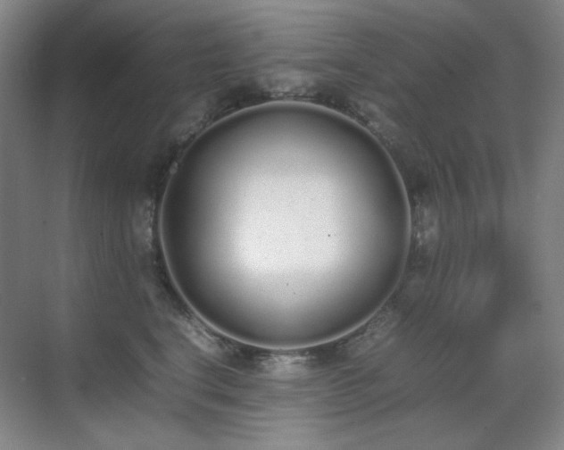 X0000070380664200606091127