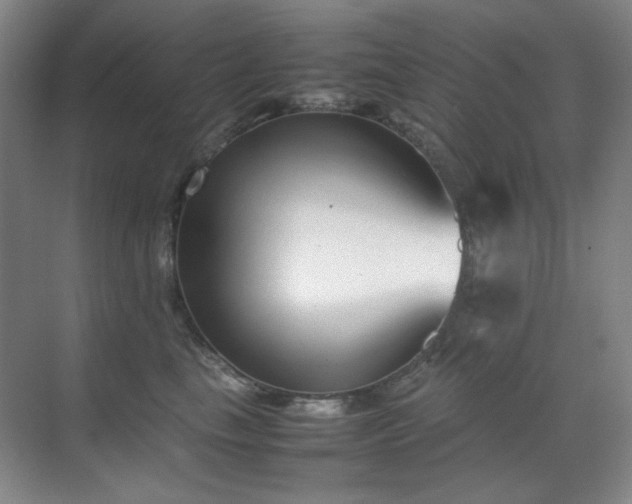 X0000070380665200606091127