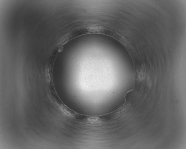 X0000070380666200606091127