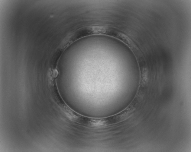 X0000070380667200606091127