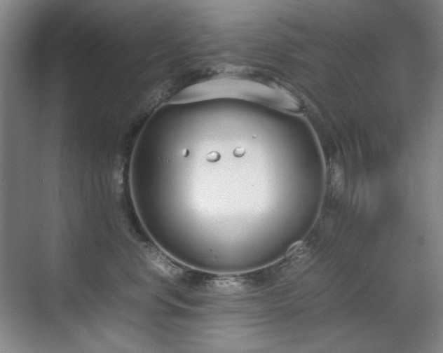 X0000070380668200606091127