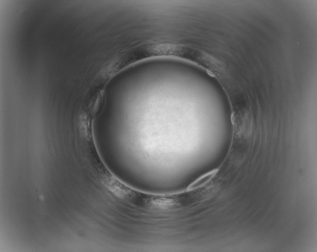 X0000070380669200606091127