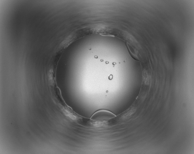 X0000070380670200606091127