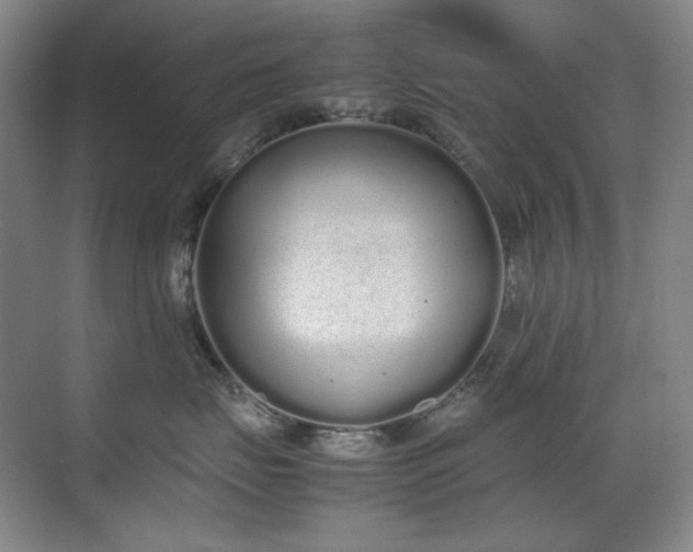 X0000070380671200606091127