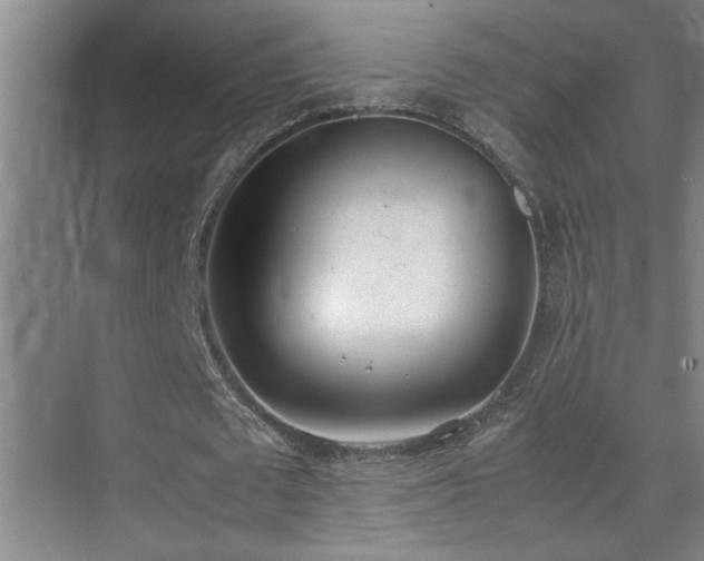 X0000070380673200606091126