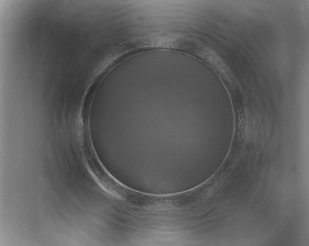 X0000070380674200606091126