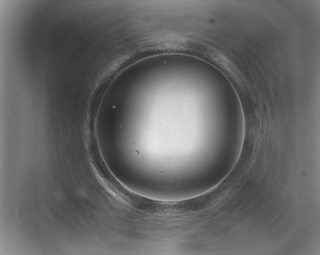 X0000070380677200606091126